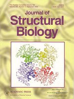 Structure of Bacillus subtilis YXKO--a member of the UPF0031 family and a putative kinase.