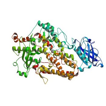 LIPOXYGENASE-1 (SOYBEAN) AT 100K, Q697N MUTANT (1FGT)