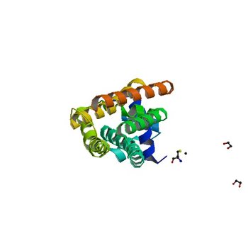 Crystal structure of transcriptional regulator protein from Thermotoga maritima. (1Z77)