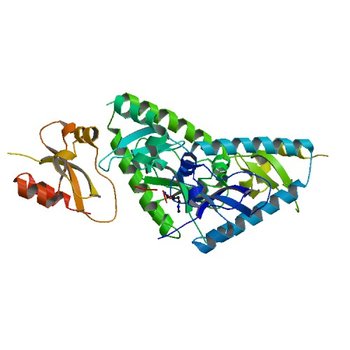 Crystal structure analysis of human CHD1 chromodomains 1 and 2 bound to histone H3 resi 1-15 MeK4 (2B2V)