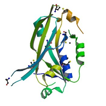 Crystal Structure of the Conserved Protein of Unknown Function AF2331 from Archaeoglobus fulgidus DSM 4304 Reveals a New Type of Alpha/Beta Fold (2FDO)