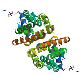 Crystal structure of transcriptional regulator (tm1030) at 1.75A resolution (2ID6)