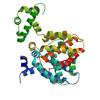 Crystal structure of TetR-family regulator (SCO0857) from Streptomyces coelicolor A3. (2NP3)