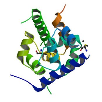 Crystal structure of putative XRE-family transcriptional regulator from Rhodococcus sp. (2OFY)