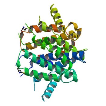 Crystal structure of the 5'-deoxynucleotidase YfbR (2PAQ)