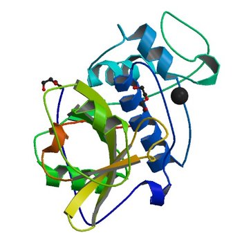 C2 Crystal form of mite allergen DER P 1 (3F5V)