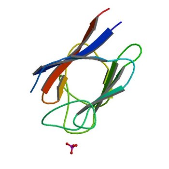 Crystal structure of the FHA domain of CT664 protein from Chlamydia trachomatis (3GQS)