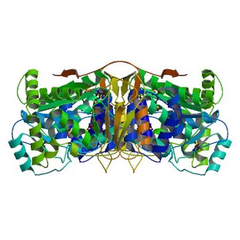 Crystal structure of a putative pyrimidine-nucleoside phosphorylase from Staphylococcus aureus (3H5Q)