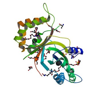 Crystal structure of methylated RPA0582 protein (3HHL)