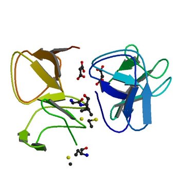 Crystal structure of altronate hydrolase (fragment 1-84) from Shigella Flexneri. (3K3S)