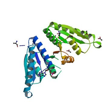 Structure of the universal stress protein from Archaeoglobus fulgidus in complex with dAMP (3QTB)