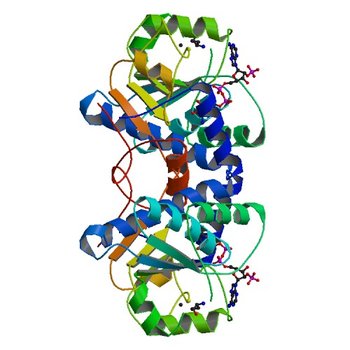 Crystal Structure of Mouse Apolipoprotein A-I Binding Protein in Complex with NADP. (3RNO)