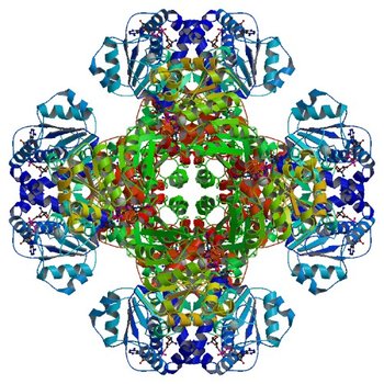 Crystal structure of tm0922, a fusion of a domain of unknown function and ADP/ATP-dependent NAD(P)H-hydrate dehydratase from Thermotoga maritima soaked with NADH and ADP. (3RTD)