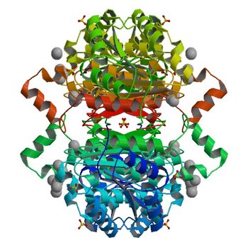 Crystal structure of 3-ketoacyl-(acyl-carrier-protein) reductase (FabG)(F187A) from Vibrio cholerae (3TZH)