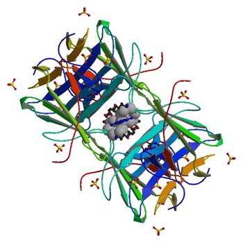 Crystal structure of Alternaria alternata allergen Alt a 1 (3V0R)