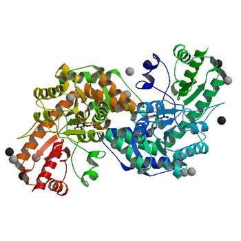 Crystal structure of PLP-bound putative aminotransferase from Clostridium difficile 630 crystallized with magnesium formate (4DGT)