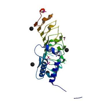 Structure of the leucine-rich repeat domain of the type III effector XCV3220 (XopL) (4FCG)