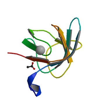 Crystal structure of the C-terminal domain of Geobacillus thermoleovorans putative U32 peptidase (4HE6)