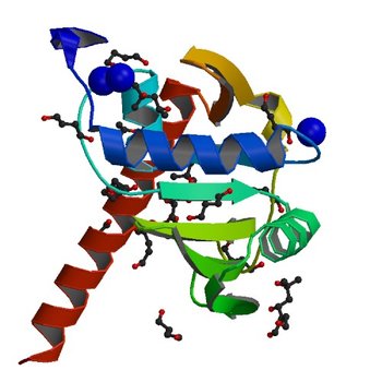 Crystal structure of a putative nucleotidyltransferase (TM1012) from Thermotoga maritima at 1.87 A resolution (4HX0)