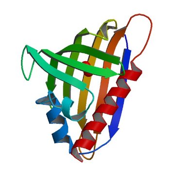 Crystal structure of kirola (Act d 11) - triclinic form (4IGX)