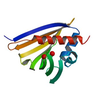 Crystal structure of kirola (Act d 11) - triclinic form (4IGY)