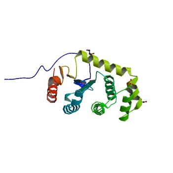 Crystal structure of disulfide bond oxidoreductase DsbA1 from Legionella pneumophila (4JRR)