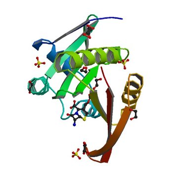 Crystal structure of a GNAT superfamily acetyltransferase PA4794 in complex with 7-aminocephalosporanic acid (4KOR)