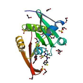 Crystal structure of a GNAT superfamily acetyltransferase PA4794 in complex with Cefoxitin (4KOW)