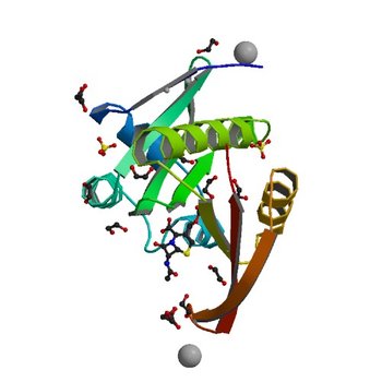 Crystal structure of a GNAT superfamily acetyltransferase PA4794 in complex with Cephalosporin C (4KOY)