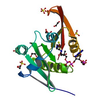 Crystal structure of a GNAT superfamily acetyltransferase PA4794 in complex with CoA (4KUB)