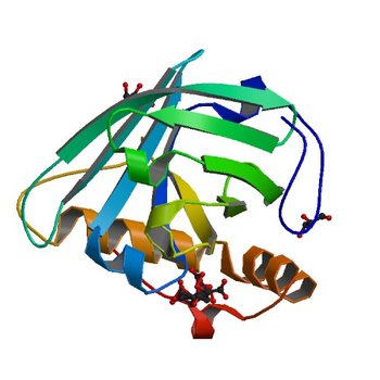 Selenomethionine incorporated Bla g 4 (4N7D)