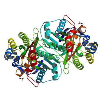 Beta-ketoacyl-acyl carrier protein synthase III-2 (FabH2)(C113A) from Vibrio cholerae (4X9K)