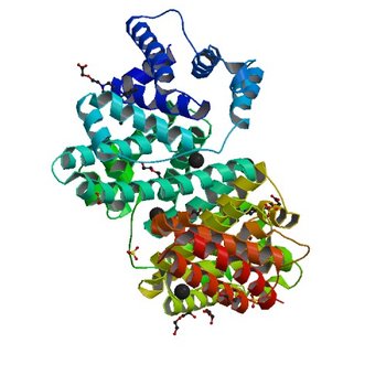 Horse Serum Albumin (ESA) in complex with Cetirizine (5DQF)