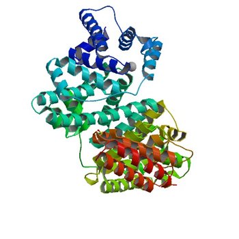 Crystal structure of Equine Serum Albumin in the presence of 2.5 mM zinc at pH 7.4 (5IIH)