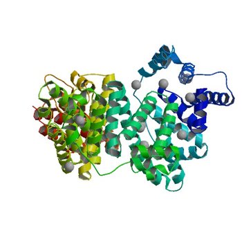 Crystal structure of Equine Serum Albumin in the presence of 30 mM zinc at pH 7.4 (5IJE)