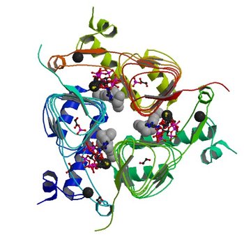 Crystal structure of Galactoside O-acetyltransferase complex with CoA (P32 space group). (5V0Z)