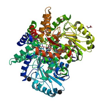 MOUSE KYNURENINE AMINOTRANSFERASE III, RE-REFINEMENT OF THE PDB STRUCTURE 3E2Y (5VEQ)