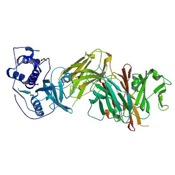 CRYSTAL STRUCTURE OF DER F 1 COMPLEXED WITH FAB 4C1 (5VPL)