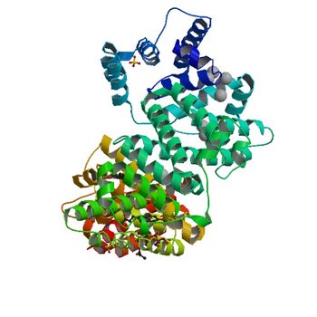 Crystal structure of equine serum albumin in complex with nabumetone (6CI6)