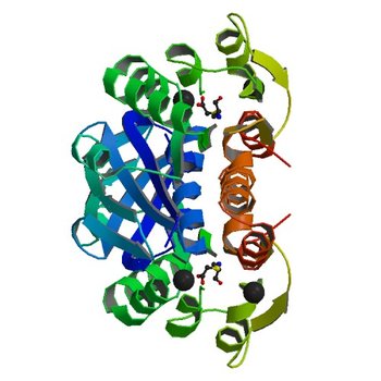 Crystal structure of human DJ-1 with a natural modification on Cys-106 (6E5Z)