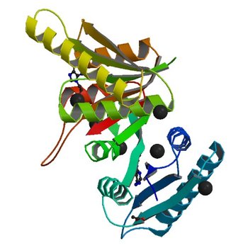 Structure of universal stress protein from Archaeoglobus fulgidus (6HCD)