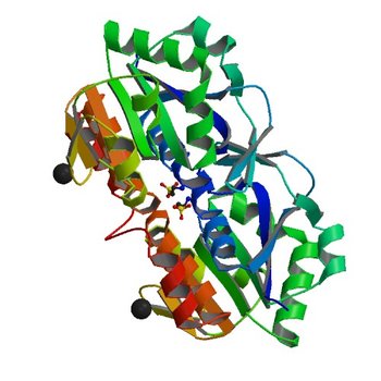 Crystal structure of human DJ-1 without a modification on Cys-106 (6M8Z)