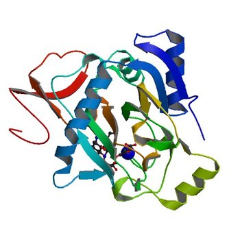 The crystal structure of kanamycin B dioxygenase (KanJ) from Streptomyces kanamyceticus in complex with nickel, ribostamycin B and 2-oxoglutarate (6S0S)