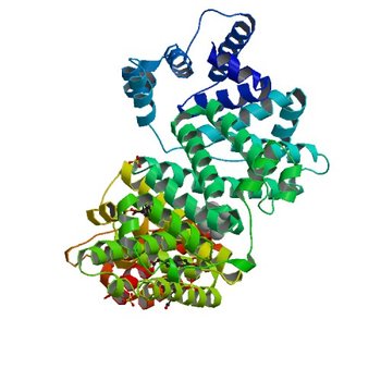 Crystal structure of Equine Serum Albumin complex with 6-MNA (6U5A)