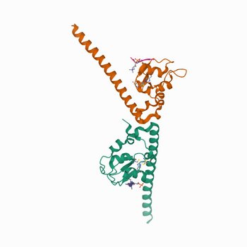 Crystal structure of human Survivin bound to histone H3 T3phK4me3 peptide (7LBK)