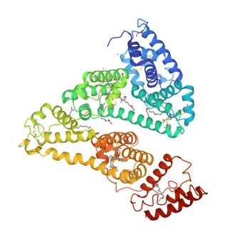 Human Serum Albumin with Cobalt (II) and Myristic Acid - crystal 3 (8EY5)