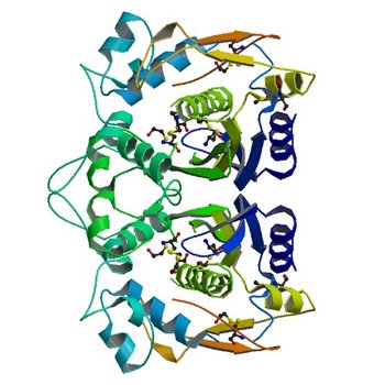 CRYSTAL STRUCTURE ANALYSIS OF CYS167 MUTANT OF ESCHERICHIA COLI (1EV8)