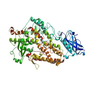 LIPOXYGENASE-1 (SOYBEAN) AT 100K, Q697E MUTANT (1FGR)