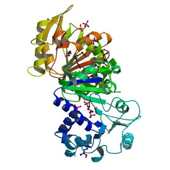 Crystal Structure of devB protein (1Y89)