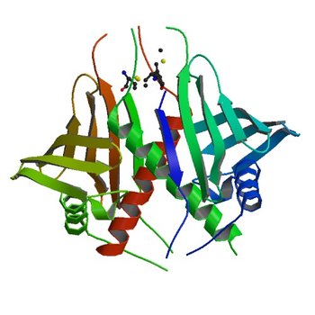 Structure of PR10-allergen-like protein PA1206 from Pseudomonas aeruginosa PAO1 (2FFS)